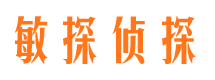 蓝田找人公司